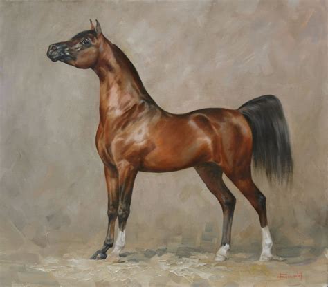 Arabian horse painting by Anna Bazhenova | Horse art, Horse drawings, Arabian horse art