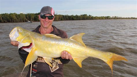 The threadfin salmon is one of the most highly sought-after sportfish in the Top End, and Chis ...