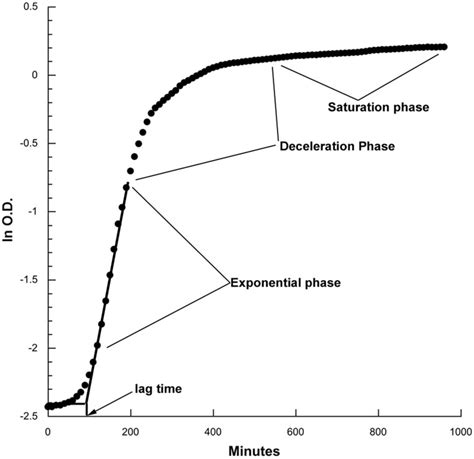 Typical bacterial growth curve: ln OD is plotted versus time. The... | Download Scientific Diagram