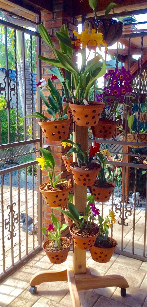 Plant stand on wheels | Flower pot hanger, Orchid house, Plants