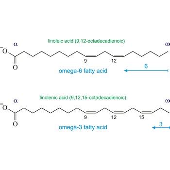 Omega 6 Fatty Acid Structure