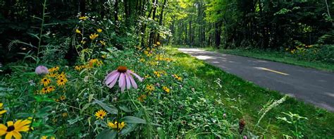 Lake Minnetonka Regional Park | Three Rivers Park District