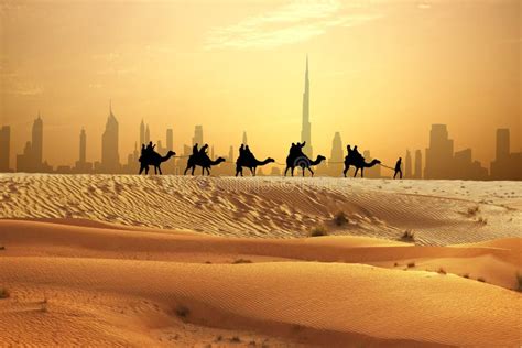 Camel Caravan on Sand Dunes on Arabian Dessert with Dubai Skyline at Sunset Stock Image - Image ...