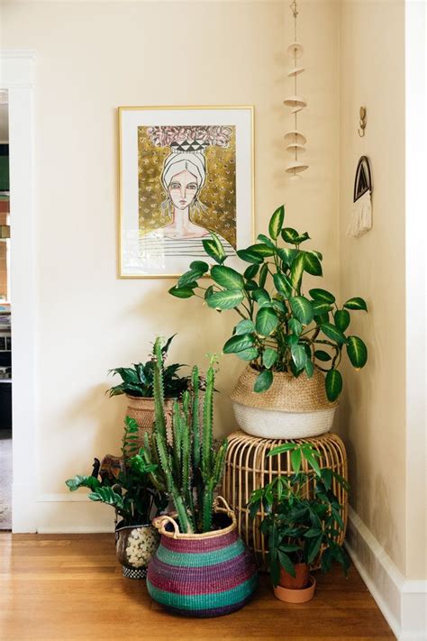 My Houzz: Houseplant-Happy in a Boho-Style D.C. Home - Eclectic ...