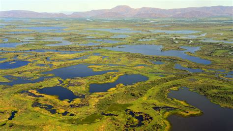 Part 6 – Wetland Ecosystem,Its Benefits and Causes of its Destruction ...