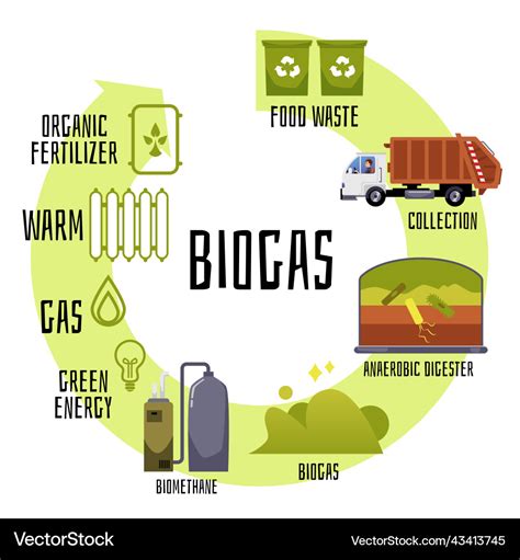 Biogas Production And Distribution Cycle Flat Vector Illustration | Hot Sex Picture