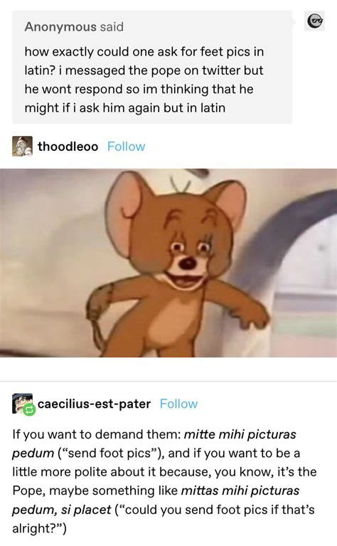 Mea culpa, mea maxima culpa : r/tumblr