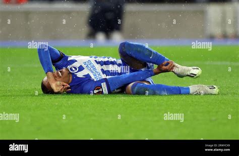 Joao pedro brighton 2023 hi-res stock photography and images - Alamy