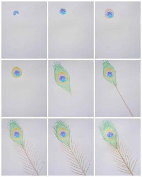 How To Draw A Peacock Step By Step Easy / I've decided to offer you 2 different ways of star ...