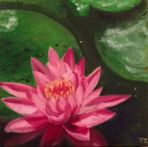 Pink Water Lily, Oil Painting By Ying Zhang | Original paintings, Oil painting, Painting