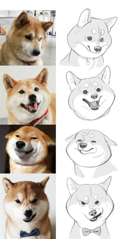 How to draw doge | Doge | Know Your Meme