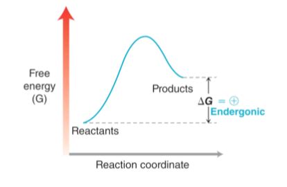 Solved I. Looking at the graph, it is apparent that: a. | Chegg.com