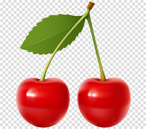 Cherry Png Clipart Cherry Pie Sour Cherry Cherries - Transparent ...