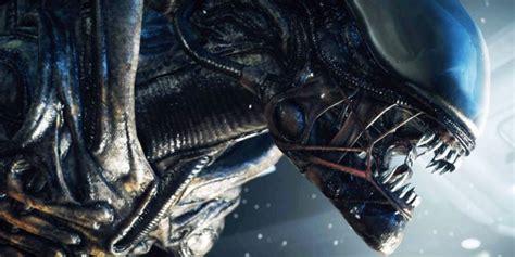 Alien's Religious Themes Hint at Inevitable End of Humans vs Xenomorphs - Newshunds