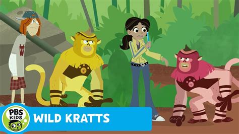 WILD KRATTS | No Color, No Fun | PBS KIDS - YouTube