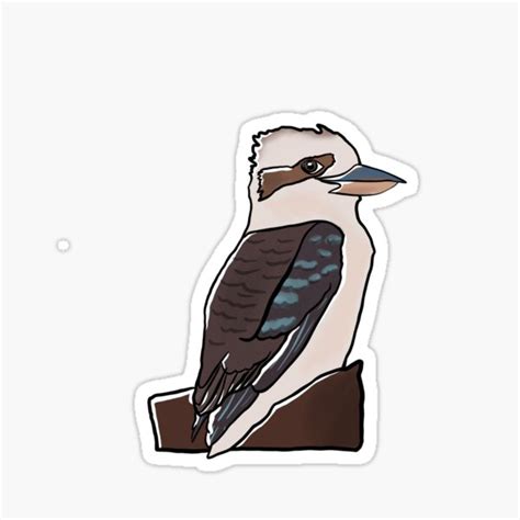 Laughing Kookaburra Stickers | Redbubble