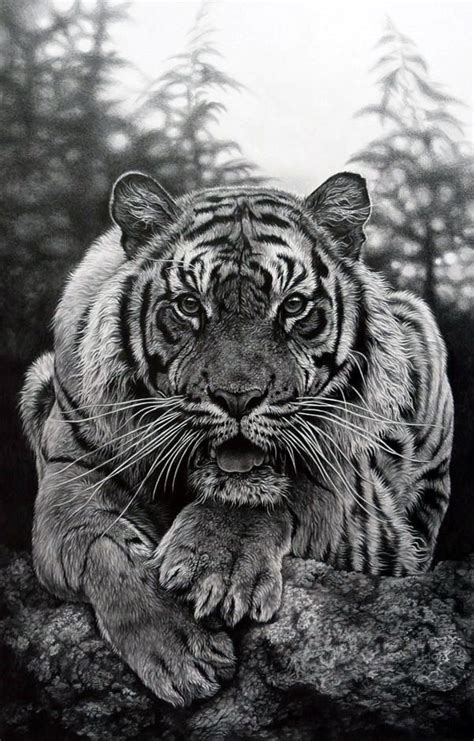 40 Realistic Animal Pencil Drawings | Pencil drawings of animals ...