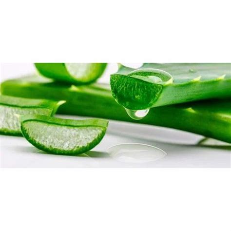 Aloe Vera Pulp, for Health Drinks and Pharmaceuticals at Rs 25/kilogram in Ghaziabad