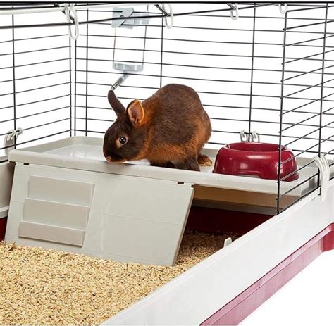 Best Large Rabbit Cage [2022 Review] Top XL Huge Giant Bunny Cages