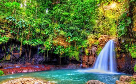 Fondos de pantalla : Árboles, paisaje, vistoso, bosque, cascada ...