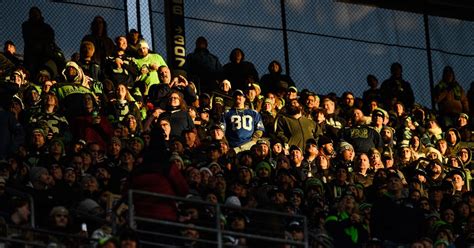 The Field Gulls roster refresher - Field Gulls