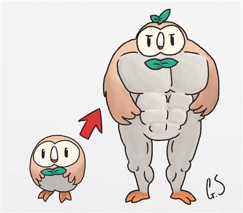 Rowlet Evolution by GREEEEEG on DeviantArt