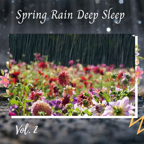 Spring Rain Deep Sleep Vol. 2 - Album by Binaural Beats Deep Sleep ...