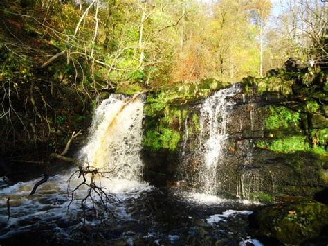 Campsie Glen, James' Linn [2] © Robert Murray :: Geograph Britain and Ireland