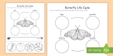 Butterfly Life Cycle Cut and Paste Activity - Science - Twinkl