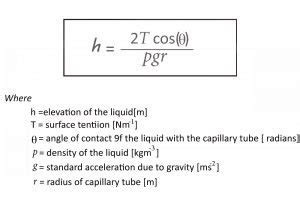 What Is Capillary Action? » Science ABC