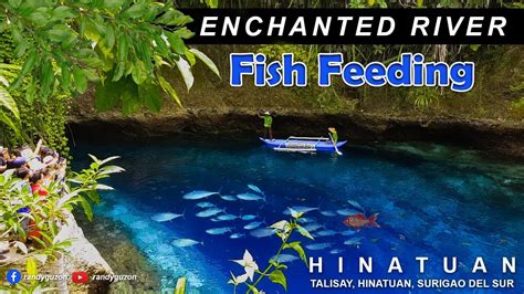 Enchanted River - Fish Feeding Time l Hinatuan Surigao Del Sur - YouTube