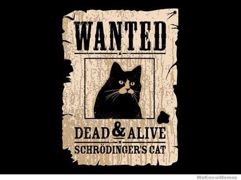 wanted-dead-or-alive-schrodingers-cat - StarTalk Radio Show by Neil ...