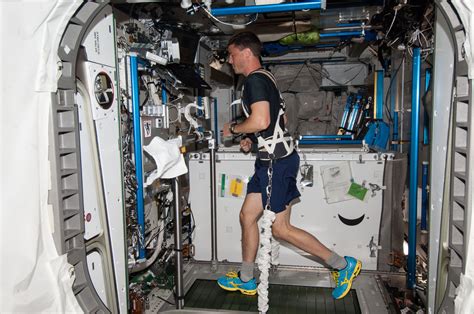 Space Fever: Astronauts Risk Hitting 104 Degrees During Exercise ...