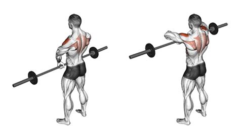 What are upright rows? (A bodybuilding guide)