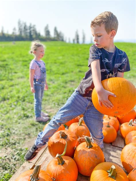 Pumpkin Patch Photoshoot Tips to Capture Beautiful Fall Memories - This Years McMillan Pumpkin ...