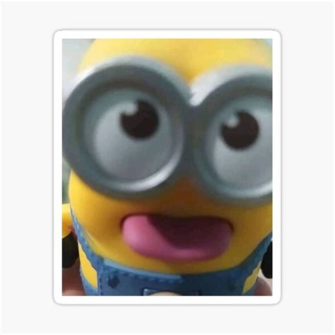 Minion Cat Pfp | ubicaciondepersonas.cdmx.gob.mx