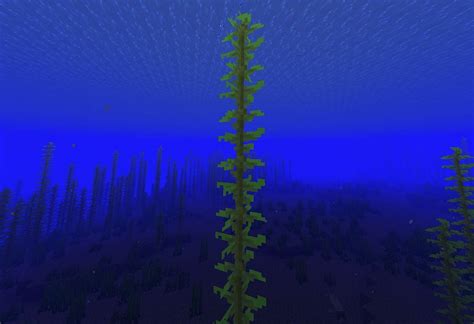 Kelp in Minecraft