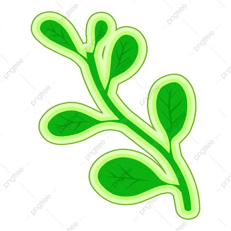 Moringa Leaf Vector Hd PNG Images, Moringa Leaf Symbol For Herbal Medicine, Floral, Botany ...