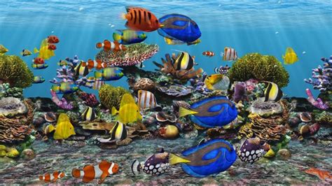Fish Tank Wallpaper - WallpaperSafari