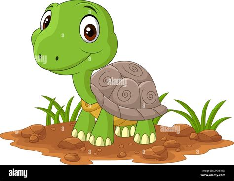 Cartoon baby turtle in the field Stock Vector Image & Art - Alamy