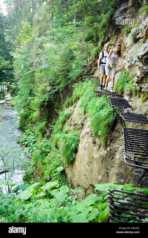 Slovakia Slovensky Raj Slovak Paradise National Park Horad River Gorge Hiking Trail Stock Photo ...