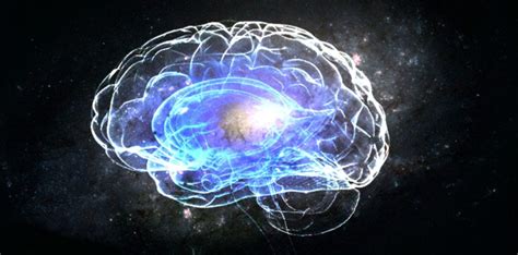 Scientists: The Human Brain And the Entire Universe Have Odd ...