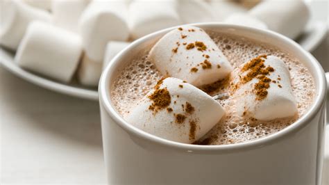 National Hot Cocoa Day - Trek Healthcare Staffing