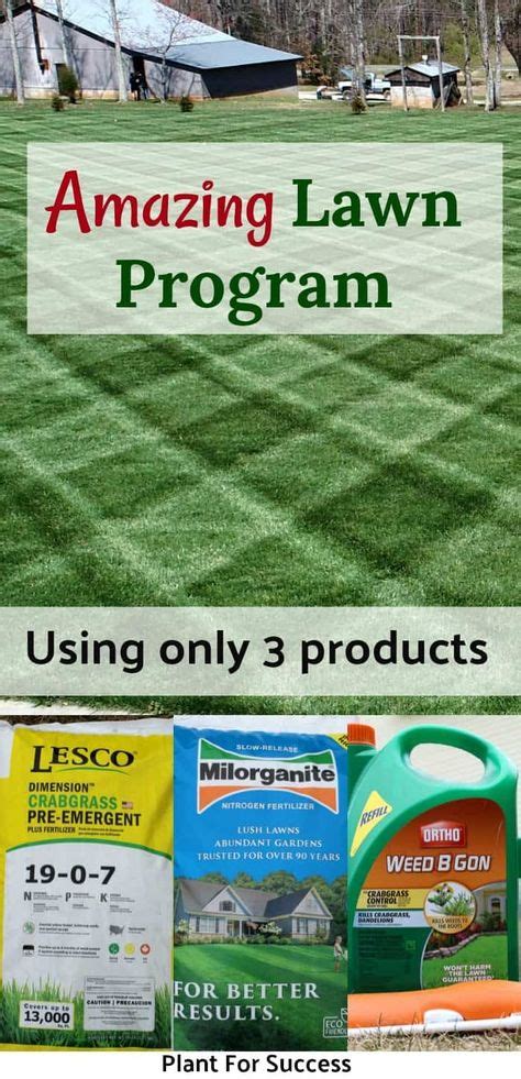 Top 10 lawn fertilizer schedule ideas and inspiration