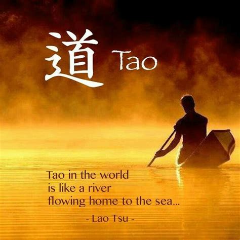 Lao Tzu Quotes, Wisdom Quotes, Words Of Wisdom, Taoism Quotes, Qoutes ...