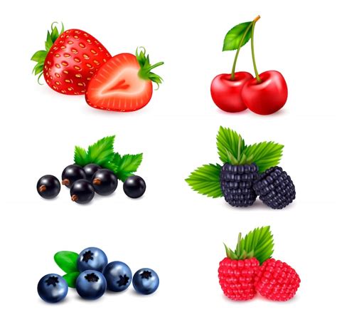 Free Vector | Berry fruit realistic set with isolated colourful images ...