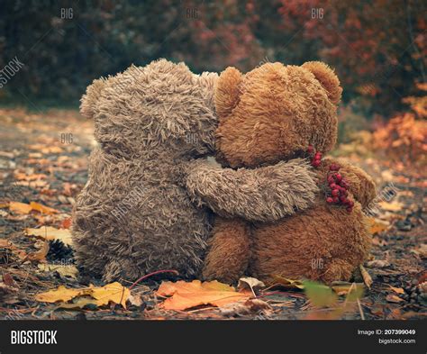 Two Teddy Bear Hugging Image & Photo (Free Trial) | Bigstock