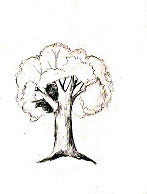 a drawing of a tree with no leaves