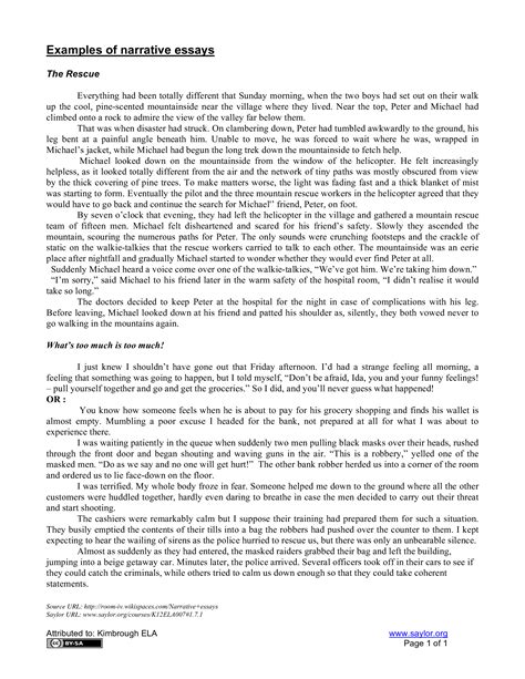 Personal Narrative Essay Sample - How to create a Personal Narrative Essay Sample? Download this ...