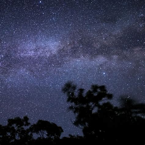 Download wallpaper 2780x2780 night, stars, silhouette, sky, trees ipad ...